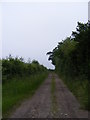 TM4682 : Green Lane footpath to Southwell Lane by Geographer