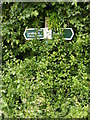 TM4682 : Green Lane footpath/Byway sign by Geographer