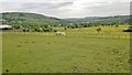 Horses grazing at Owlgreave Farm