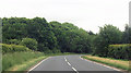 Bend in road at Butters Wood