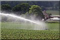 Watering crops at Palace Farm