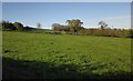 Fields near Uphay Farm