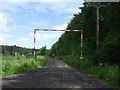 Track into Dog Kennel Wood