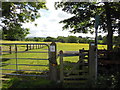 A footpath towards Thirkleby