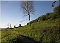 Hillside near Wellands Farm