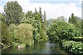 River Test at Longparish