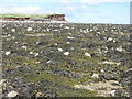 NB4636 : Coastal erosion at Sròn Ruadh by M J Richardson