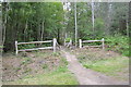 TQ7334 : Cycle Trail exit, Bedgebury Forest by Julian P Guffogg