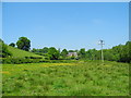 SJ5872 : Rough meadow, Home Farm by John Topping