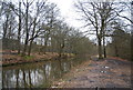 Basingstoke Canal