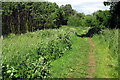 Footpath by the Flit