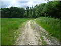 Footpath near Bockingfold Farm