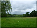 View from the driveway to Ladham House