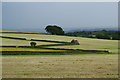 Fields below High North Farm