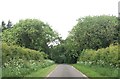 Entering Croxby Pond Plantation