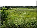 Lime Hill Townland