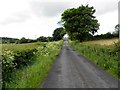 Loughbracken Road, Lime Hill