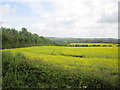 Open Farmland - Alongside the A46