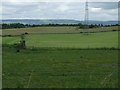 Fields near Crosslee