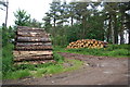 Logs at the entrance to High Moor forest