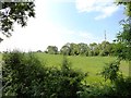 View west near Coxhoe Bridge