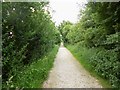 Ridge, Furzebrook Tramway