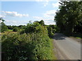 Field, Hedge, Lane, near Wormshill