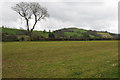 Farmland near Llansawel