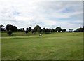 SJ4653 : Carden Park Golf Course by Jeff Buck