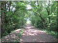 Footpath & bridleway along the periphery of Lady