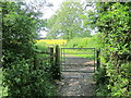 Footpath to Birdbush Farm