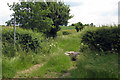 Footpath to Brookend Farm