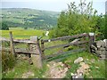 Gate at the top of Dole Lane