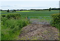 Farmland along Shackerstone Road