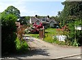 Azaleas in garden, Sandhurst