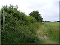 TM4082 : Footpath off Wangford Road by Geographer