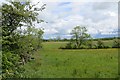 Field near Harelaw