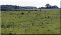 View across fields to Rookery Farm