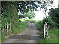 Cattle grid on Back Lane