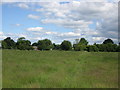 Footpath south of Langlands Farm