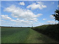 Bridleway towards Langlands