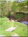 Stepping stones at Brocka Beck