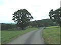 Farm track at Calrofold