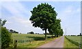 Road to Draycott Moor Farm