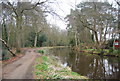 Basingstoke Canal