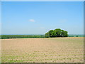 SJ5872 : Farmland north of Delamere Park by John Topping