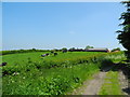 Approaching Cuddington Hall Farm