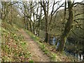 Path on east side of lower Lliw reservoir