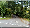 Old Abergavenny Road, Llanover