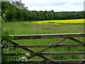 Wharf Farm gate leading to farmland